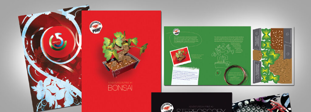 Creative Print Campaign Mailers Best Design Company